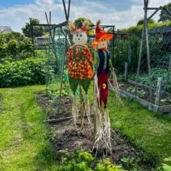 Woodside Garden Scarecrows, Crop & Allotment Bird/Pest Deterrent, Pack Of 2 -Garden Mirth Sales Store AISNY0RLEXJ