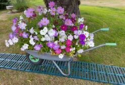 Woodside Instant 3m Roll Out Garden Path/Track Lawn Grass Protector