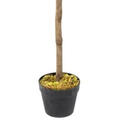 Woodside Artificial Topiary Bay Leaf Tree 4ft Indoor Outdoor Plant (pack Of 2) -Garden Mirth Sales Store EEHNEM0PZSM