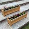 Woodside Aldeby Wooden Garden Trough Planter/Flower Container Box, Pack Of 2 1 Woodside Aldeby Wooden Garden Trough Planter/Flower Container Box, Pack Of 2 -Garden Mirth Sales Store EMVFVY5SOEU