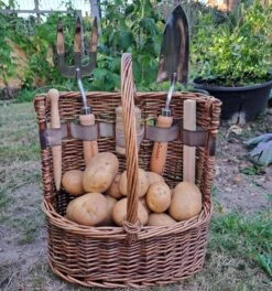 Garden Mirth Sales Store -Garden Mirth Sales Store F000SBSOUTK