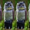 4 X Woodside Large Realistic Bird/Pigeon/Crow Owl Decoy With Rotating Head -Garden Mirth Sales Store HADNVQZCIOD