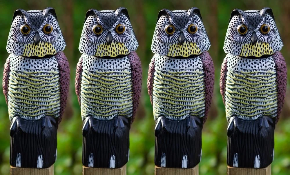 4 X Woodside Large Realistic Bird/Pigeon/Crow Owl Decoy With Rotating Head 3 4 X Woodside Large Realistic Bird/Pigeon/Crow Owl Decoy With Rotating Head