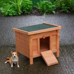 Woodside Wooden Animal Shelter, Hibernation House For Hedgehogs/Guinea Pigs Etc 10 Woodside Wooden Animal Shelter, Hibernation House For Hedgehogs/Guinea Pigs Etc -Garden Mirth Sales Store LLJSFHSVSY4