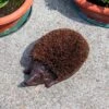 Woodside Cast Iron Hedgehog Boot Brush & Scraper -Garden Mirth Sales Store LM22QYC10ME
