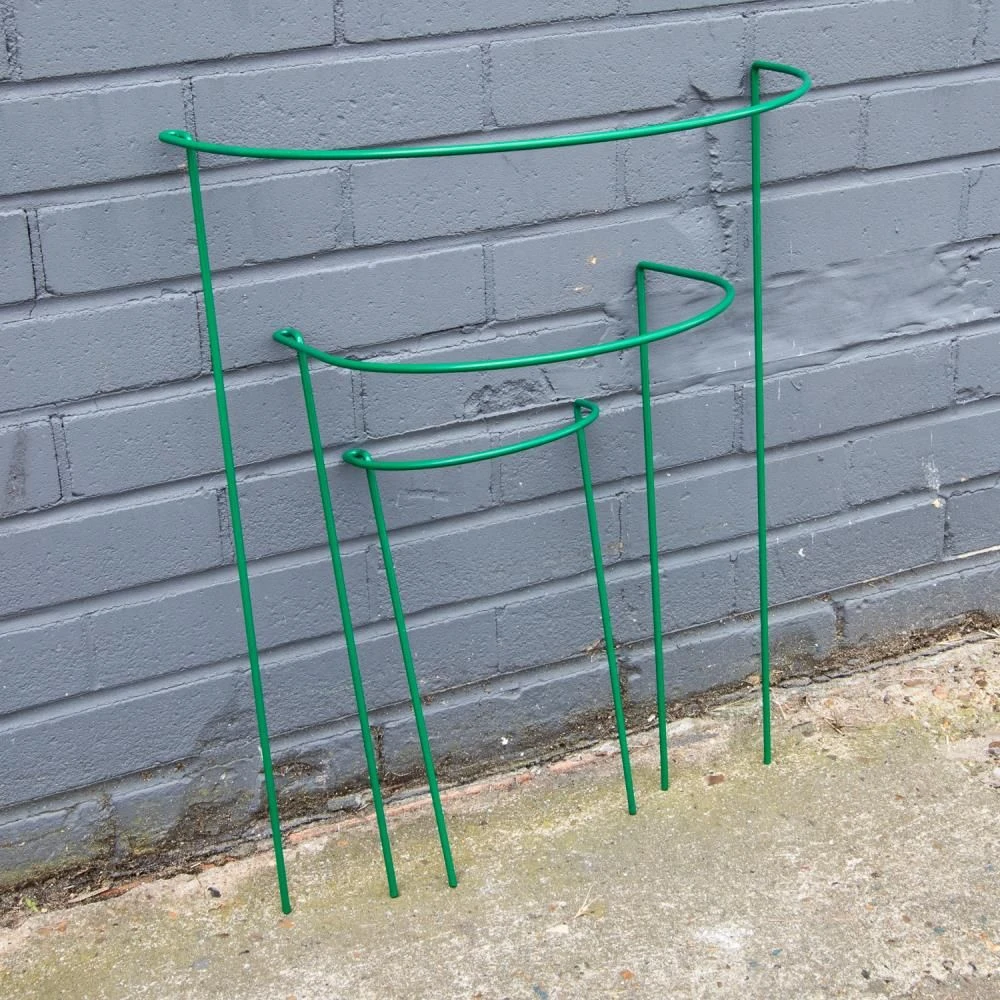 Woodside Steel Garden Plant Support Stakes, Half Round Flower Guard Cage (10 Pack) 6 Woodside Steel Garden Plant Support Stakes, Half Round Flower Guard Cage (10 Pack) - Image 4