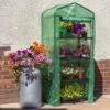 Woodside 4 Tier Garden Greenhouse/Growhouse With Reinforced Cover -Garden Mirth Sales Store PZT2JSLD3WH