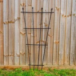 Woodside 1.2m Metal Garden Fan Trellis, Decorative Plant/Flower Pot Support, Pack Of 2