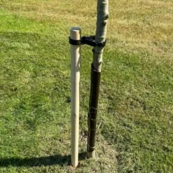 Woodside Garden Tree Sapling Support Stake Pack With Tie & Sleeve -Garden Mirth Sales Store SDUI4MGXGQJ