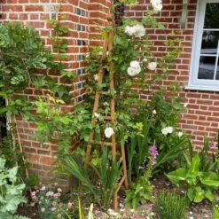 Woodside Wooden Garden Obelisk Pyramid Plant Support Trellis Climbing Frame 11 Woodside Wooden Garden Obelisk Pyramid Plant Support Trellis Climbing Frame -Garden Mirth Sales Store X1AJWXYTNCO